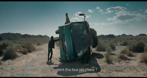 bande-annonce Black Dog