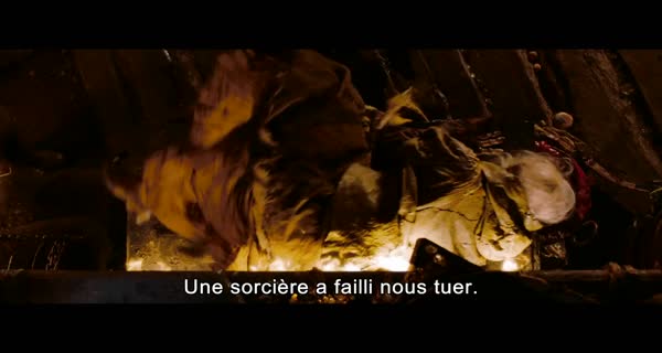 bande-annonce Hansel & Gretel : Witch Hunters