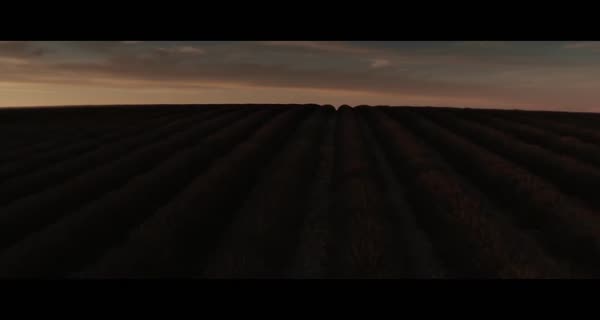 bande-annonce Valensole 1965